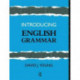 Introducing English Grammar