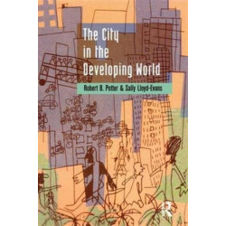 The City in the Developing World