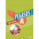 Pegasus 3. Arbejdsbog A