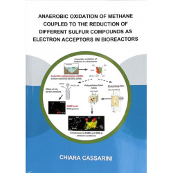 Anaerobic Oxidation of Methane Coupled to the Reduction of Different Sulfur Compounds as Electron Acceptors in Bioreactors