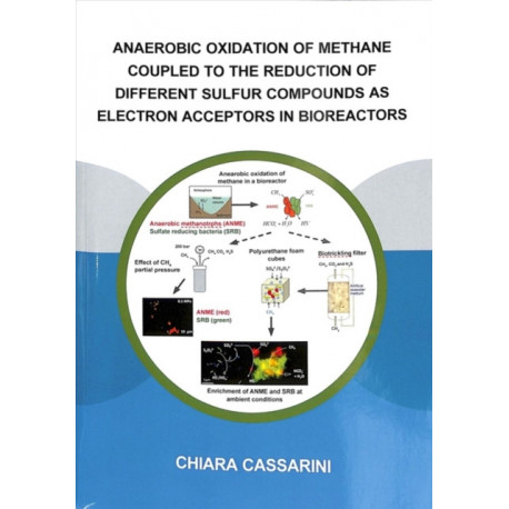 Anaerobic Oxidation of Methane Coupled to the Reduction of Different Sulfur Compounds as Electron Acceptors in Bioreactors