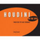 Houdini On the Spot: Power User Tips and Techniques