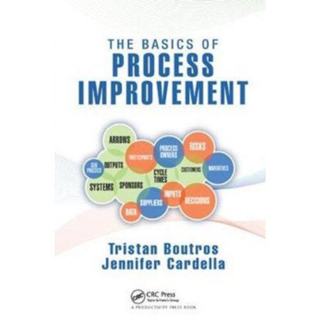 The Basics of Process Improvement