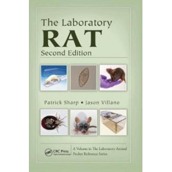 The Laboratory Rat