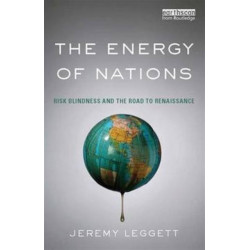 The Energy of Nations: Risk Blindness and the Road to Renaissance