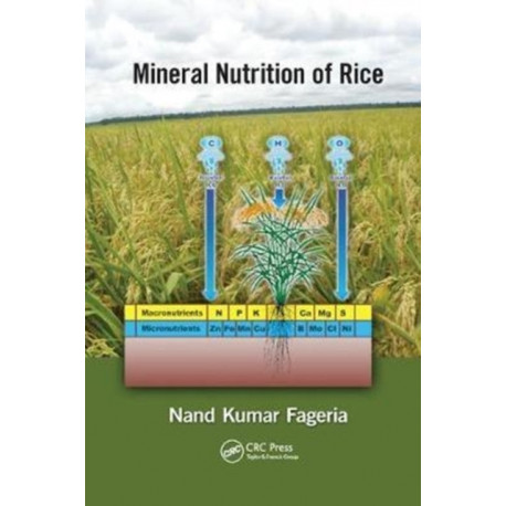 Mineral Nutrition of Rice