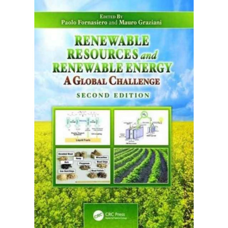 Renewable Resources and Renewable Energy: A Global Challenge, Second Edition