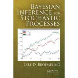 Bayesian Inference for Stochastic Processes