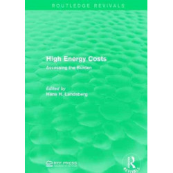 High Energy Costs: Assessing the Burden