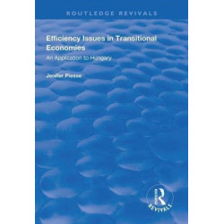 Efficiency Issues in Transitional Economies: Application to Hungary