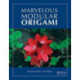 Marvelous Modular Origami