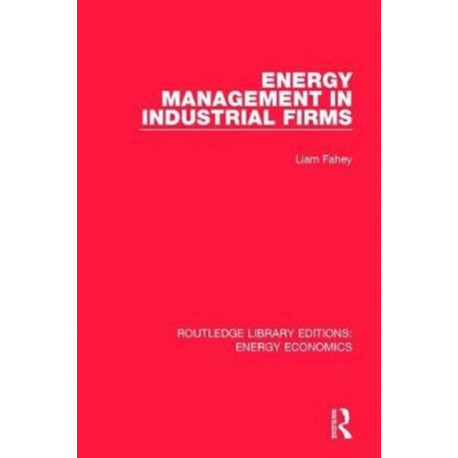 Energy Management in Industrial Firms