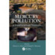 Mercury Pollution: A Transdisciplinary Treatment