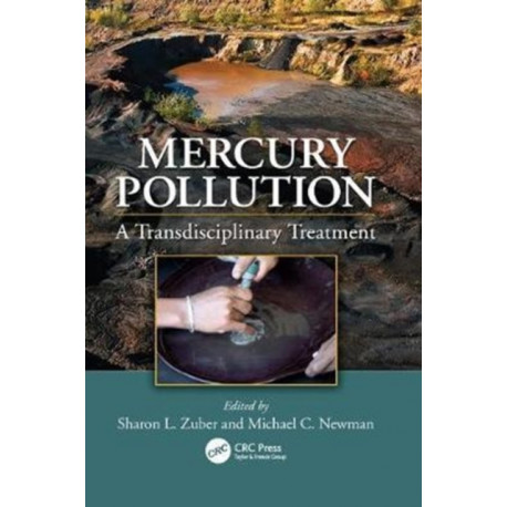 Mercury Pollution: A Transdisciplinary Treatment