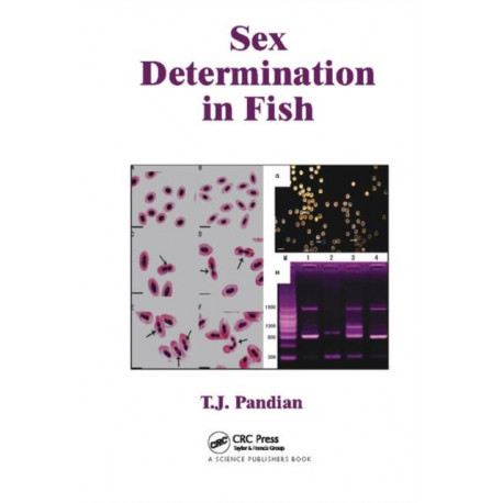 Sex Determination in Fish