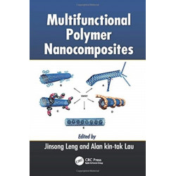 Multifunctional Polymer Nanocomposites