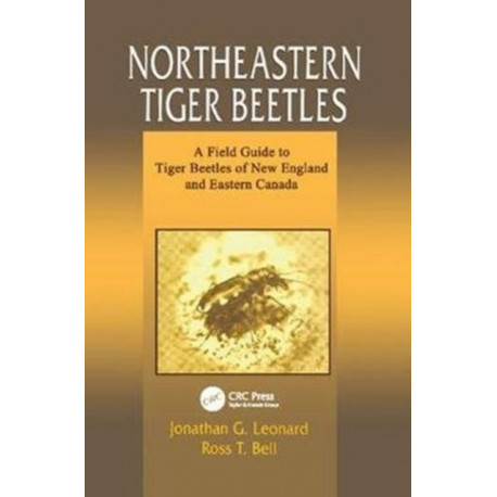 Northeastern Tiger Beetles: A Field Guide to Tiger Beetles of New England and Eastern Canada