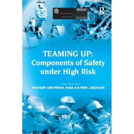 Teaming Up: Components of Safety Under High Risk