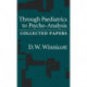 Through Pediatrics to Psycho-analysis: Collected Papers