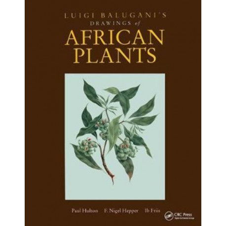 Luigi Balugani's Drawings of African Plants