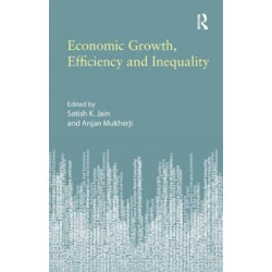 Economic Growth, Efficiency and Inequality