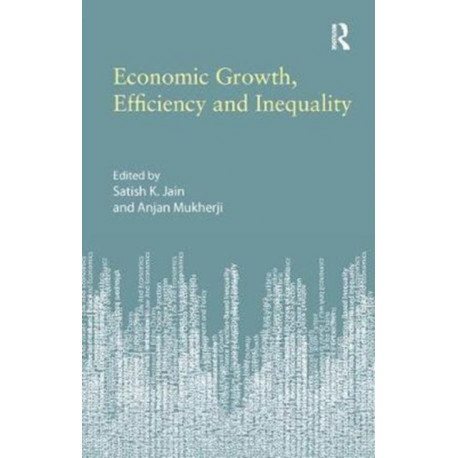 Economic Growth, Efficiency and Inequality