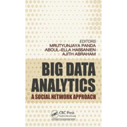 Big Data Analytics: A Social Network Approach