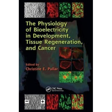 The Physiology of Bioelectricity in Development, Tissue Regeneration and Cancer