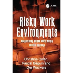 Risky Work Environments: Reappraising Human Work Within Fallible Systems