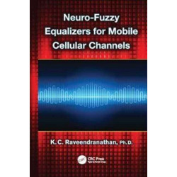Neuro-Fuzzy Equalizers for Mobile Cellular Channels