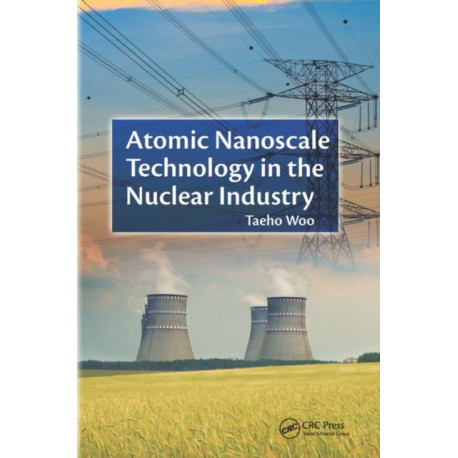Atomic Nanoscale Technology in the Nuclear Industry