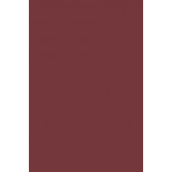 New Thoughts About Old Things: Cognitive Policies as the Ground of Singular Concepts