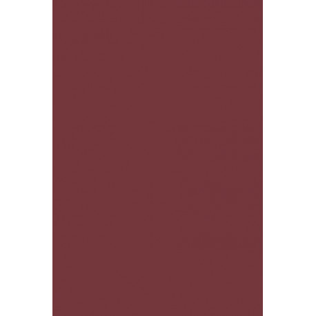 New Thoughts About Old Things: Cognitive Policies as the Ground of Singular Concepts