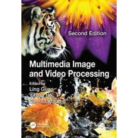 Multimedia Image and Video Processing