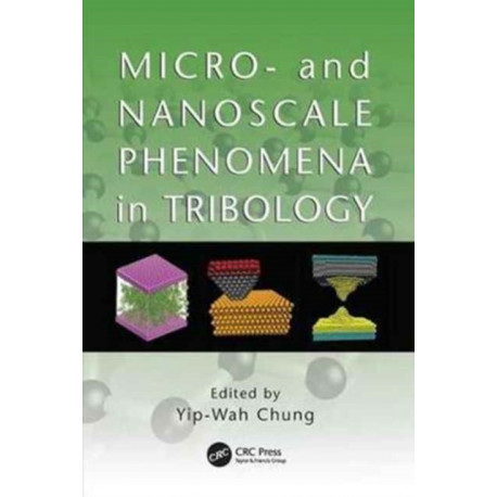 Micro- and Nanoscale Phenomena in Tribology