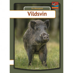 Vildsvin
