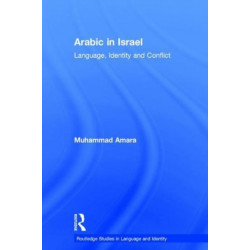 Arabic in Israel: Language, Identity and Conflict