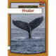 Hvaler