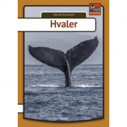 Hvaler