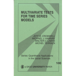 Multivariate Tests for Time Series Models