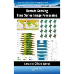 Remote Sensing Time Series Image Processing