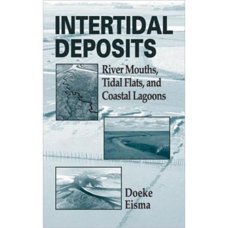 Intertidal Deposits: River Mouths, Tidal Flats, and Coastal Lagoons