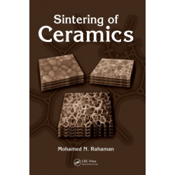 Sintering of Ceramics