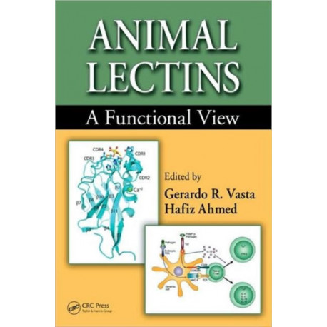 Animal Lectins: A Functional View