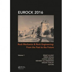 Rock Mechanics and Rock Engineering: From the Past to the Future