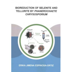 Bioreduction of Selenite and Tellurite by Phanerochaete Chrysosporium