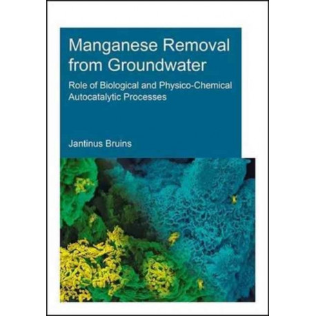 Manganese Removal from Groundwater: Role of Biological and Physico-Chemical Autocatalytic Processes
