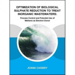 Optimization of Biological Sulphate Reduction to Treat Inorganic Wastewaters: Process Control and Potential Use of Methane as Electron Donor