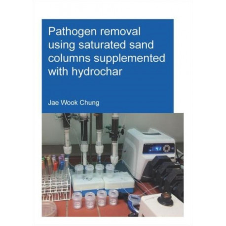 Pathogen removal using saturated sand columns supplemented with hydrochar