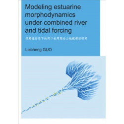 Modeling Estuarine Morphodynamics under Combined River and Tidal Forcing: UNESCO-IHE PhD Thesis